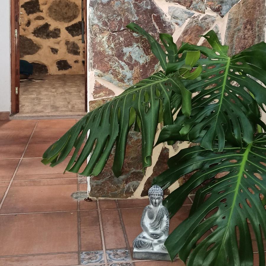 Casa Ada Villa Tejeda Kültér fotó